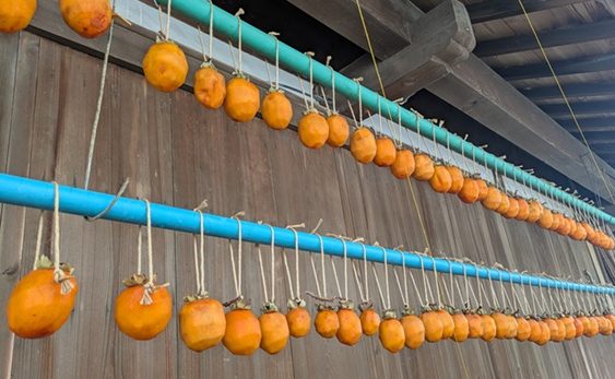 淡路島ソーラーファーム