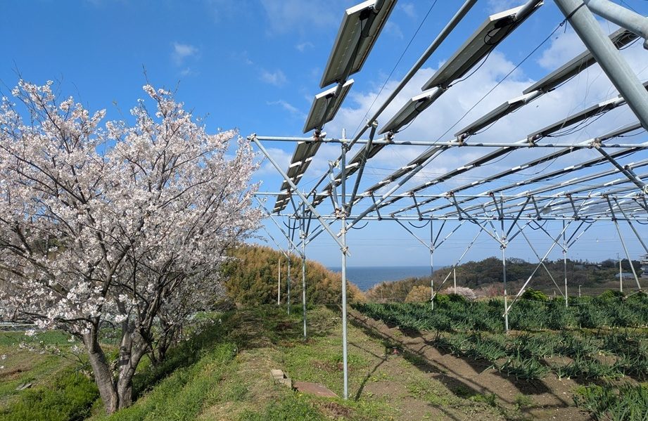 淡路島ソーラーファーム